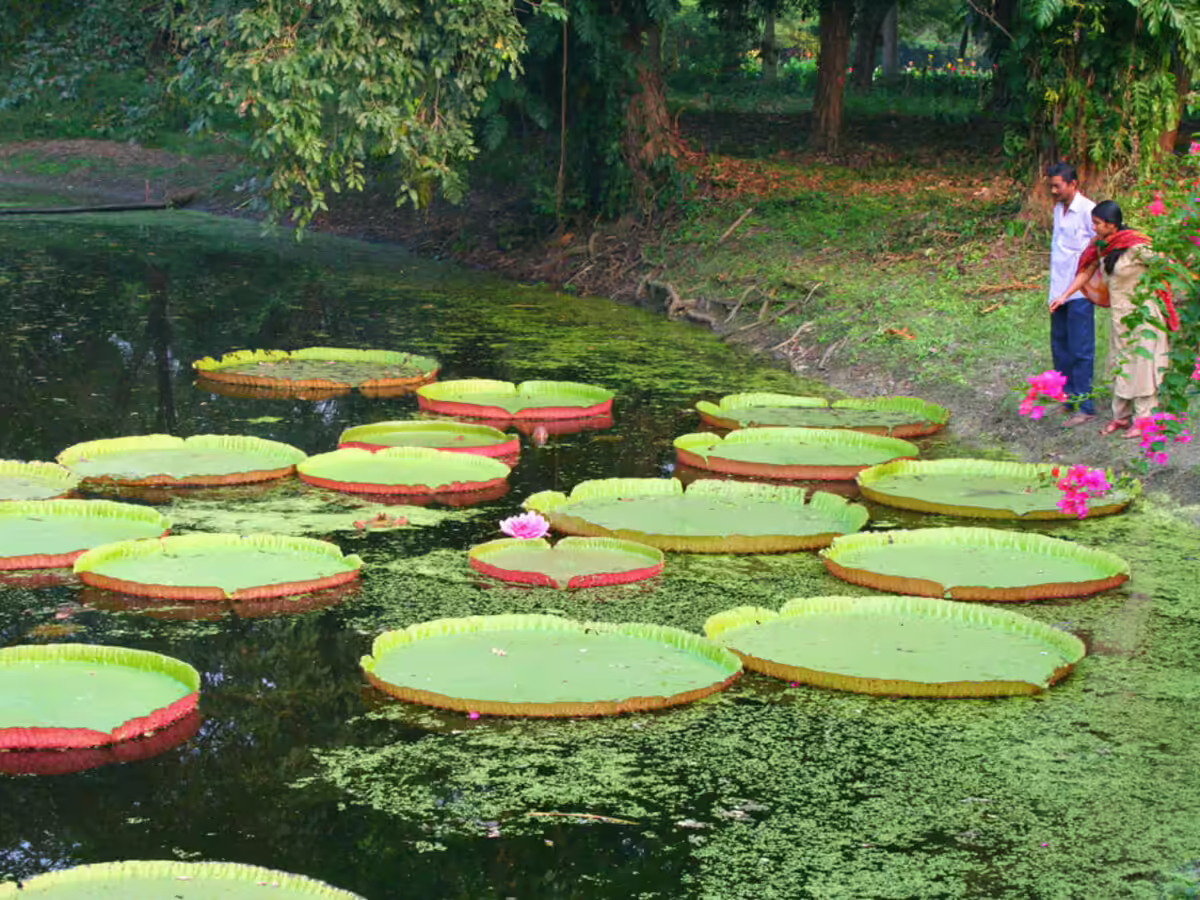 Botanical Garden , Bhubaneswar
